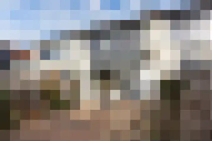 Appelgaarde 4 Rozenburg thumbnail 20