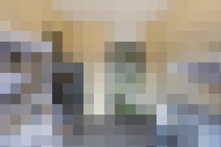 Appelgaarde 4 Rozenburg thumbnail 25