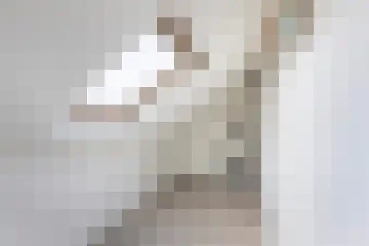 Appelgaarde 4 Rozenburg thumbnail 36