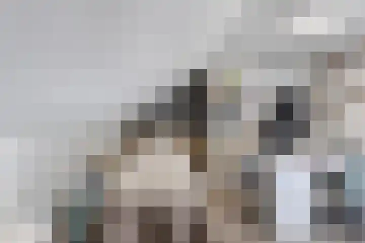 Appelgaarde 4 Rozenburg thumbnail 38