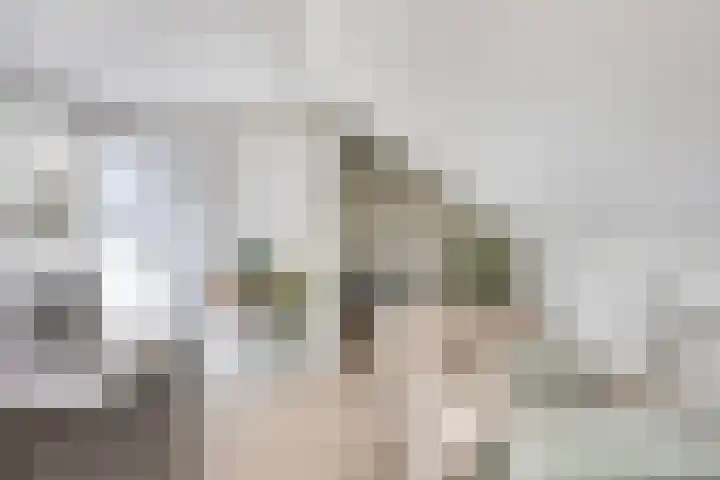 Appelgaarde 4 Rozenburg thumbnail 40