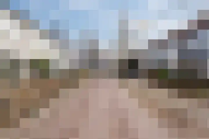 Appelgaarde 4 Rozenburg thumbnail 43