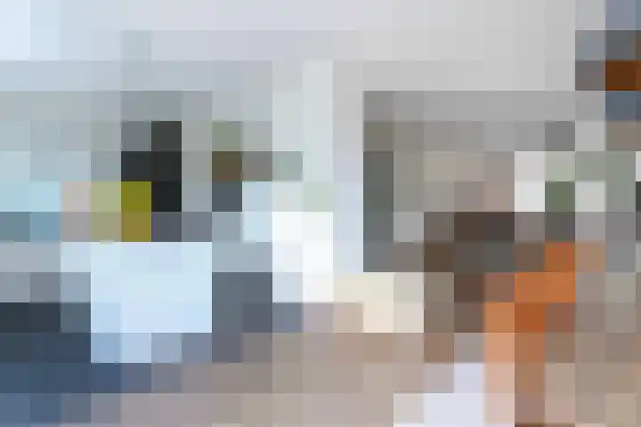 Appellaan 14 Bunde thumbnail 12