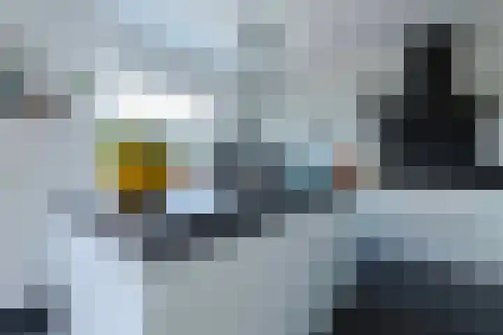 Appellaan 14 Bunde thumbnail 13