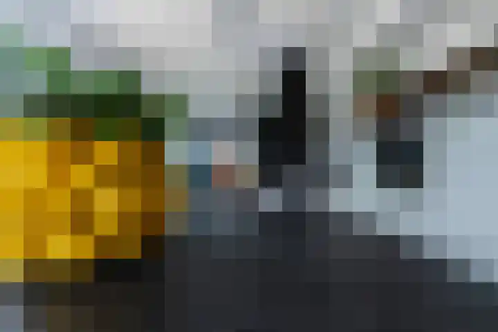 Appellaan 14 Bunde thumbnail 14