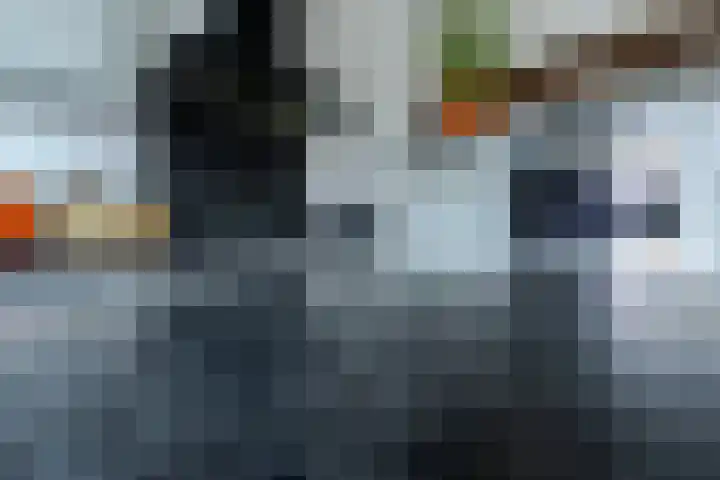 Appellaan 14 Bunde thumbnail 15