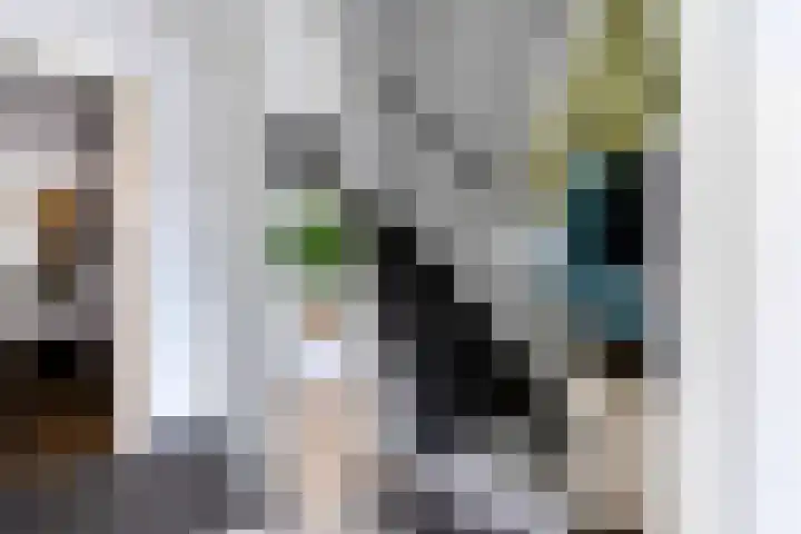Appellaan 14 Bunde thumbnail 18