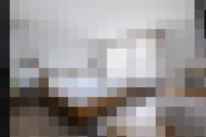 Appellaan 14 Bunde thumbnail 21