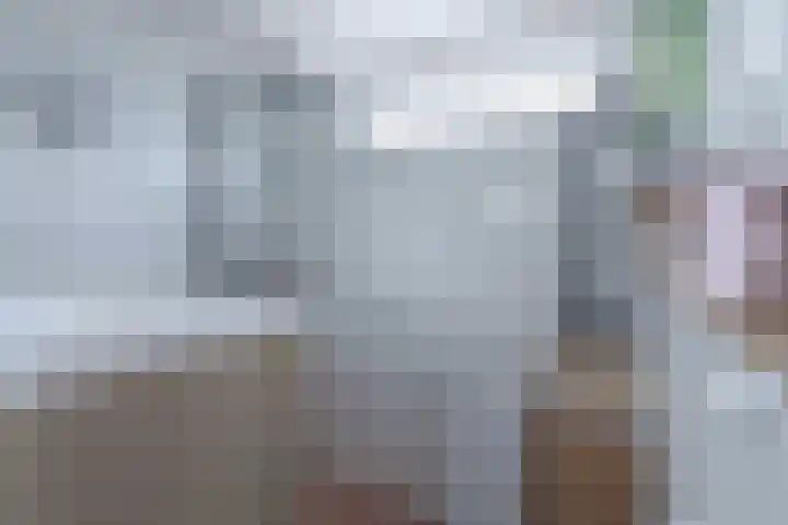 Appellaan 14 Bunde thumbnail 26