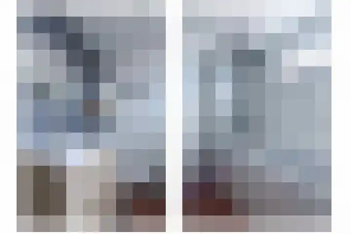 Appellaan 14 Bunde thumbnail 27