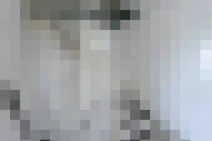 Appellaan 14 Bunde thumbnail 28