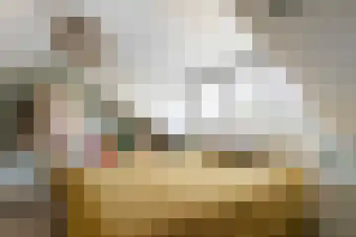 Appellaan 14 Bunde thumbnail 29