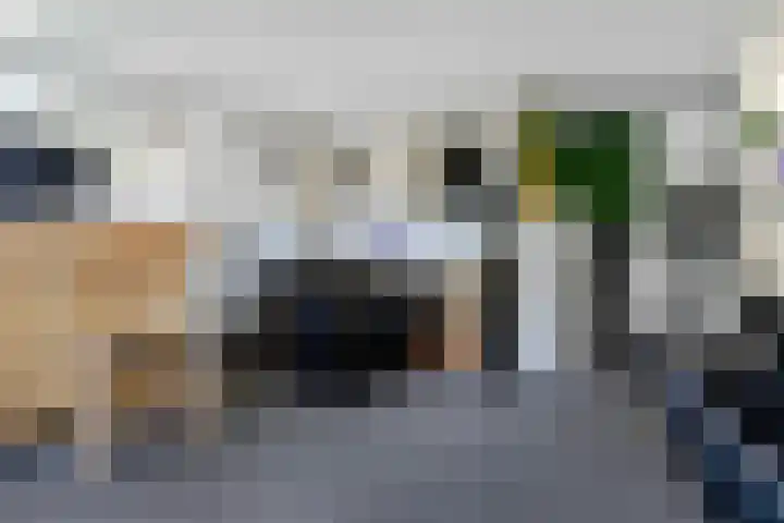 Appellaan 14 Bunde thumbnail 32
