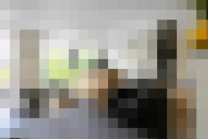 Appellaan 14 Bunde thumbnail 33
