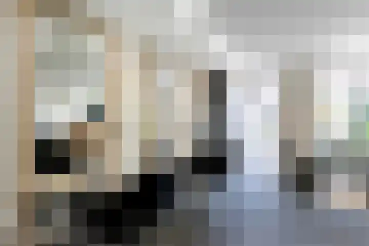 Appellaan 14 Bunde thumbnail 34