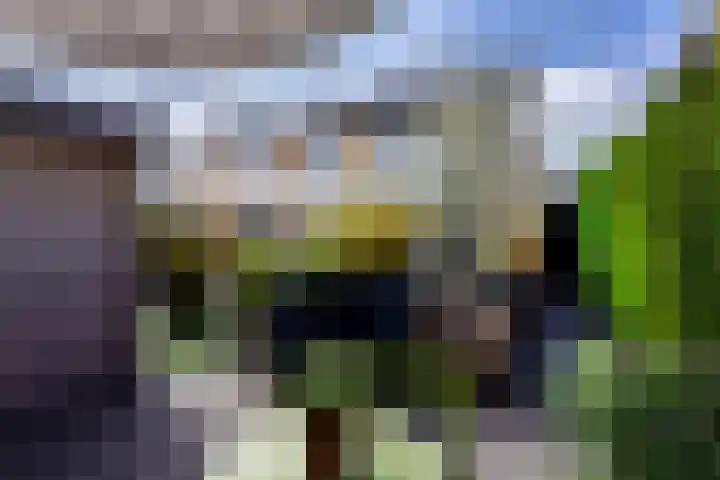 Appellaan 14 Bunde thumbnail 35