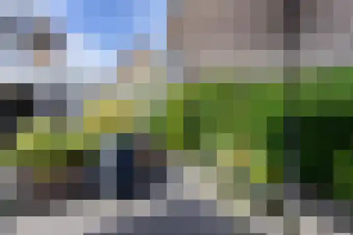 Appellaan 14 Bunde thumbnail 36