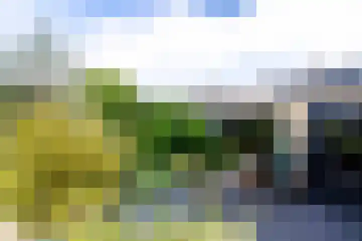 Appellaan 14 Bunde thumbnail 37