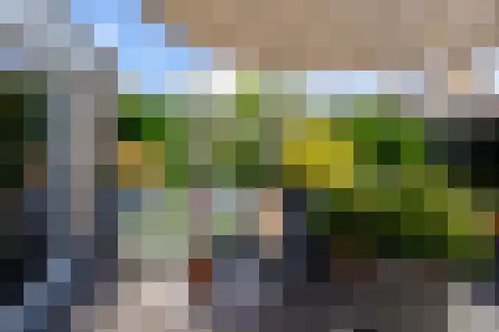 Appellaan 14 Bunde thumbnail 38