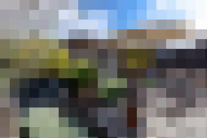 Appellaan 14 Bunde thumbnail 39