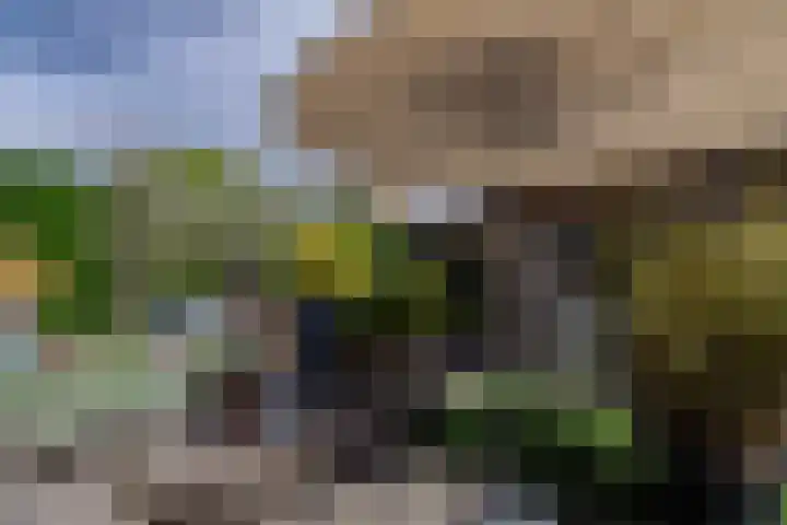 Appellaan 14 Bunde thumbnail 40