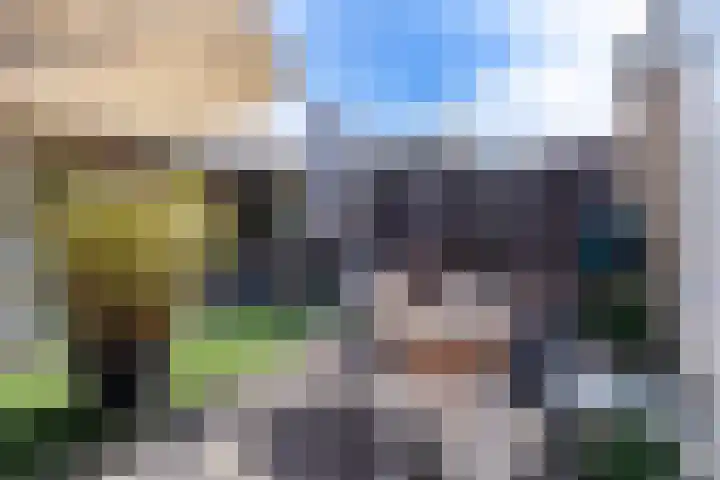 Appellaan 14 Bunde thumbnail 41