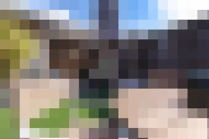 Appellaan 14 Bunde thumbnail 42