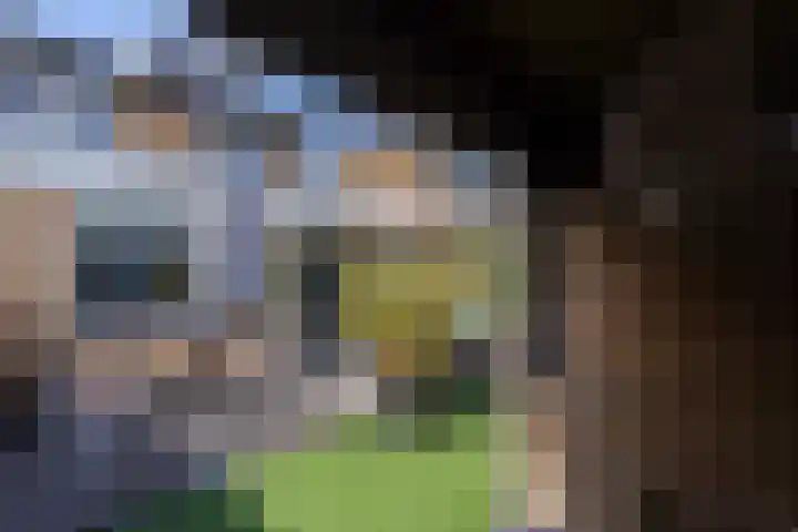 Appellaan 14 Bunde thumbnail 43