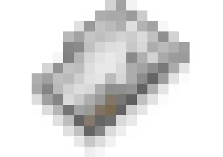 Appellaan 14 Bunde thumbnail 49