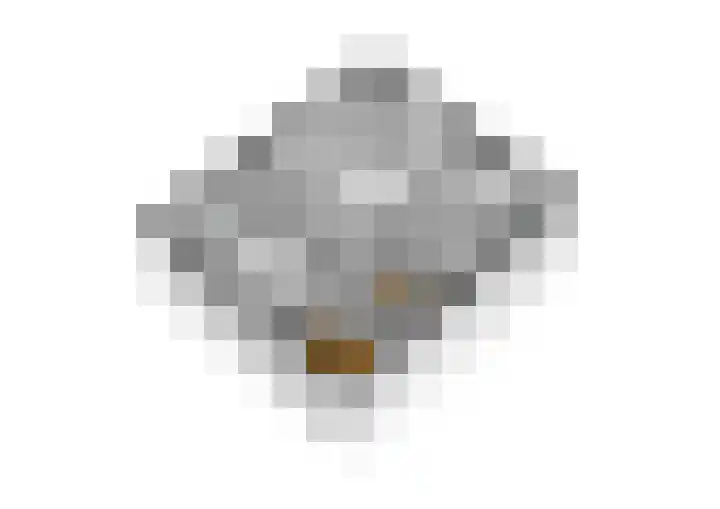 Appellaan 14 Bunde thumbnail 50