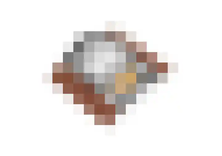Appellaan 14 Bunde thumbnail 52