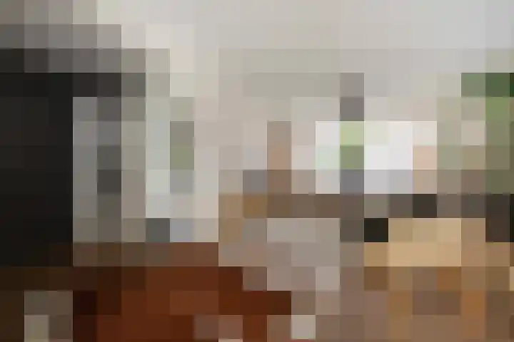 Appellaan 14 Bunde thumbnail 6