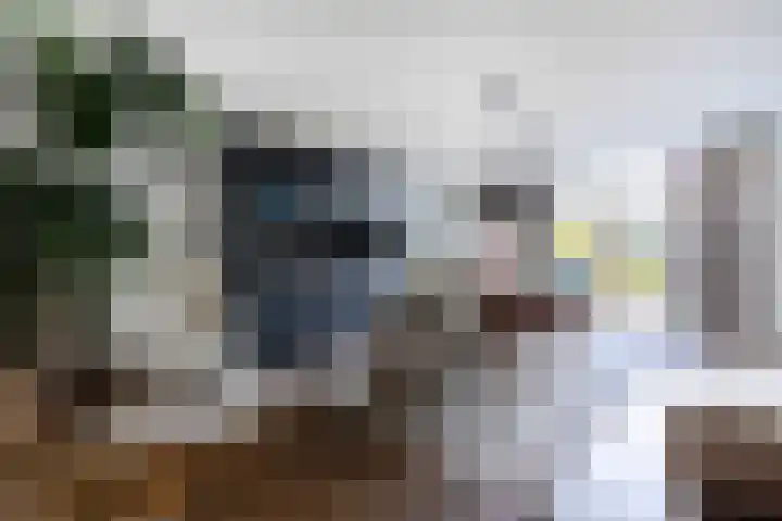 Appellaan 14 Bunde thumbnail 9