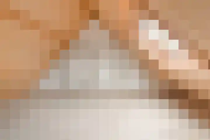 Appellaan 20 Bilthoven thumbnail 21