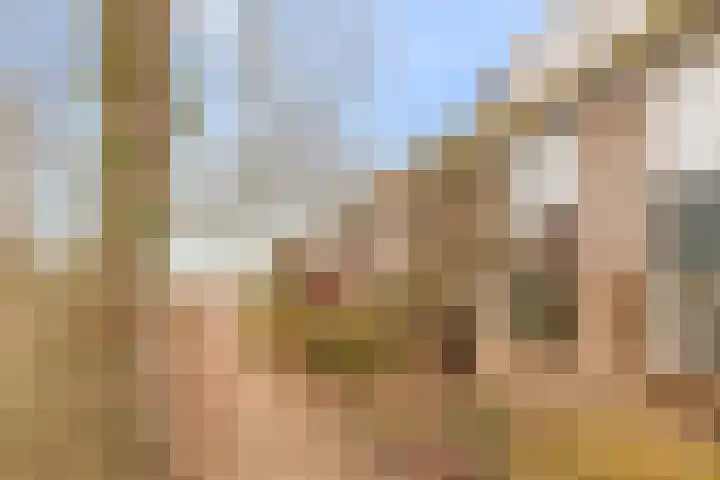 Appellaan 20 Bilthoven thumbnail 23