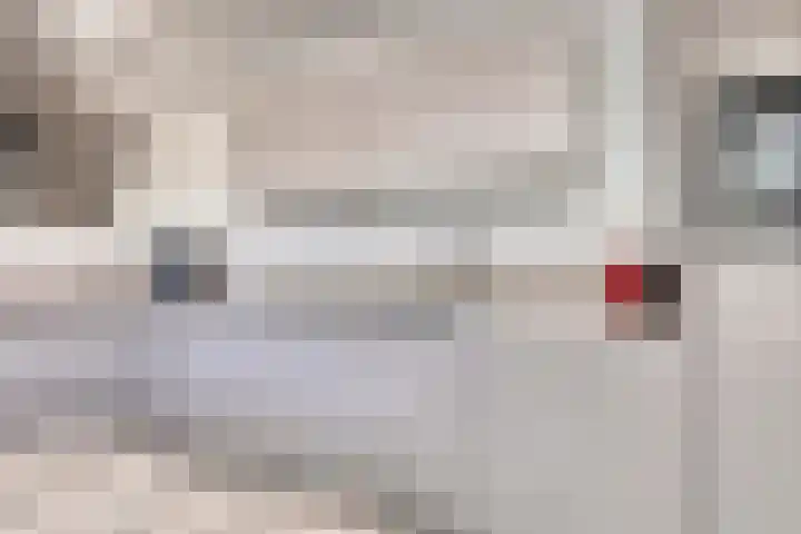 Appellaan 3 Bunde thumbnail 12