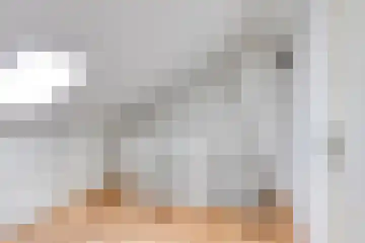 Appellaan 3 Bunde thumbnail 24