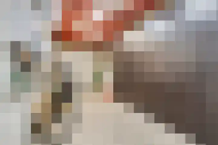 Appellaan 3 Bunde thumbnail 27