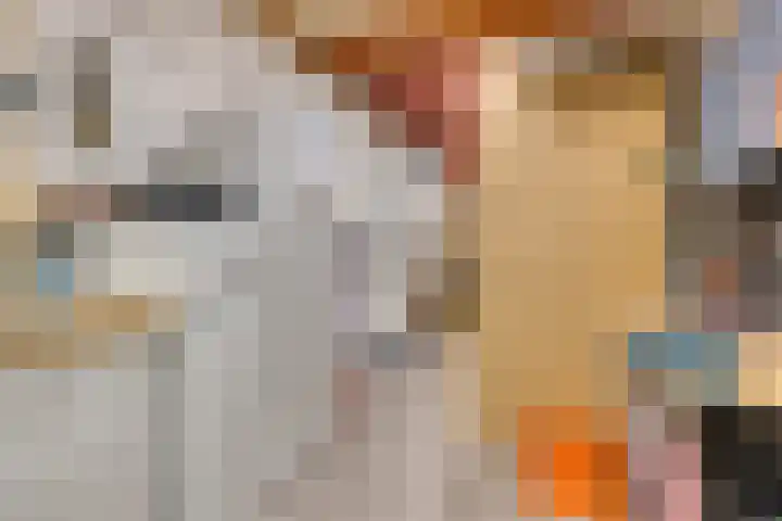 Appellaan 3 Bunde thumbnail 30