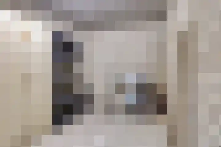 Appellaan 3 Bunde thumbnail 31
