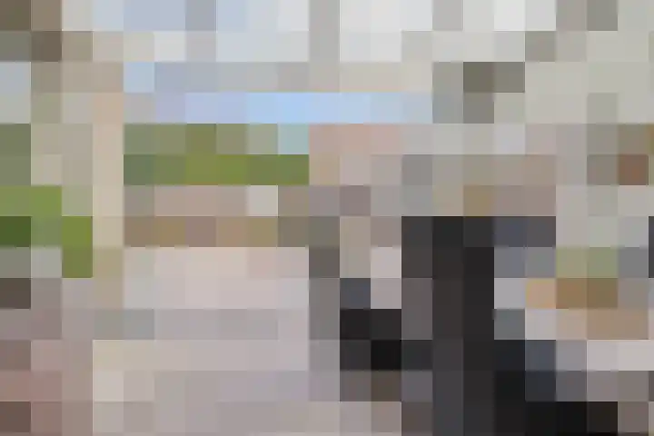 Appellaan 3 Bunde thumbnail 32