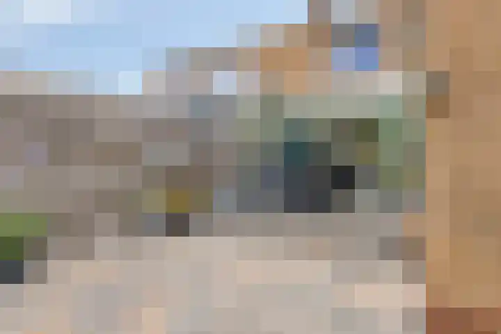 Appellaan 3 Bunde thumbnail 35