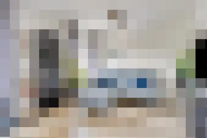 Appellaan 3 Bunde thumbnail 5