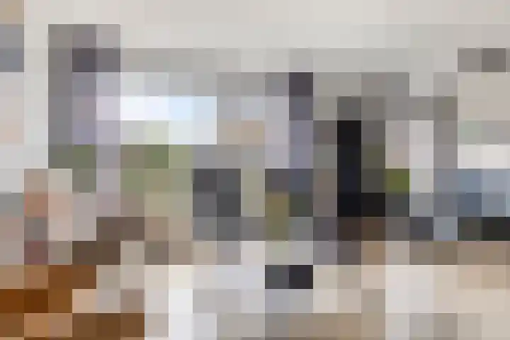 Appellaan 3 Bunde thumbnail 6