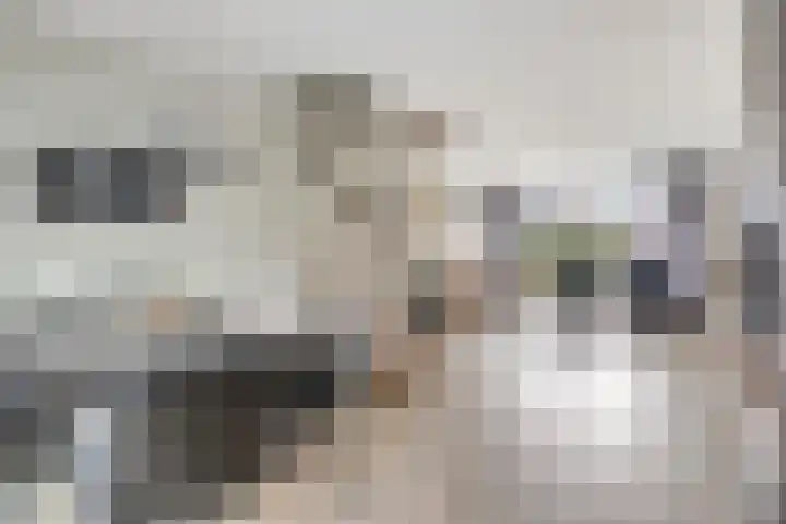Appellaan 3 Bunde thumbnail 9
