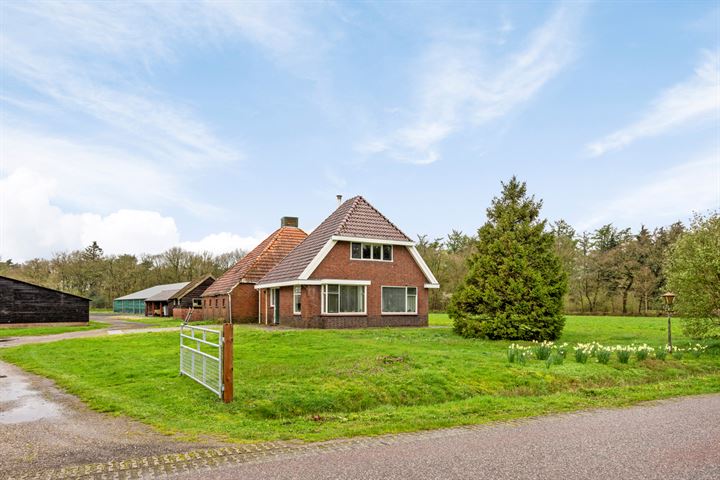 Appelschaseweg 5 in Wateren foto