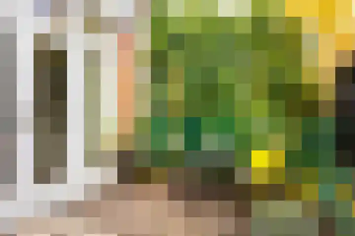 Appelstraat 20 Utrecht thumbnail 10
