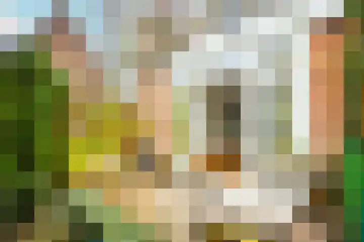 Appelstraat 20 Utrecht thumbnail 9