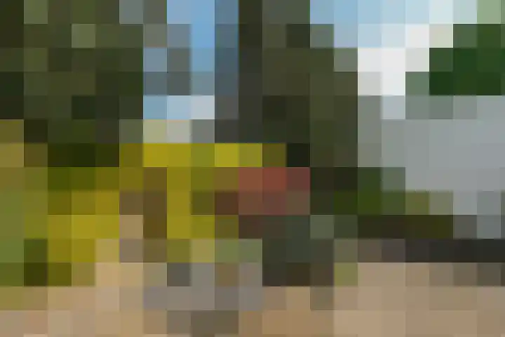 Appelternhof 27 Malden thumbnail 26