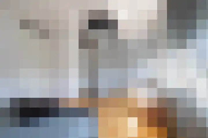 Aquarius 20 Born thumbnail 12